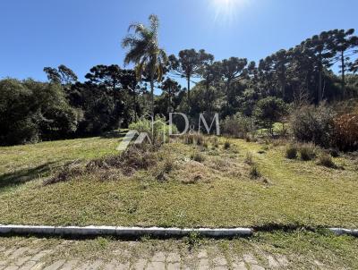 Terreno para Venda, em Garibaldi, bairro Santa Terezinha