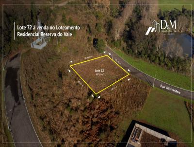 Terreno para Venda, em Garibaldi, bairro Borghetto