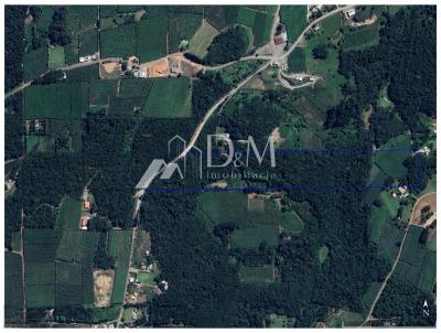 rea para Venda, em Garibaldi, bairro So Jorge