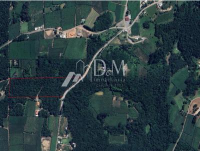 rea para Venda, em Garibaldi, bairro So Jorge