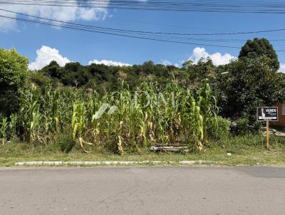 Terreno para Venda, em Garibaldi, bairro Guarani